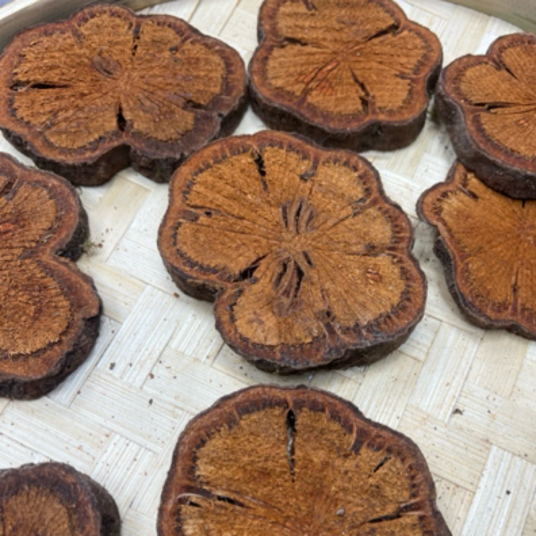 新鲜血塞通、（红藤）（一村一品山野好货）配川芎，丹参，鸡血藤泡水喝