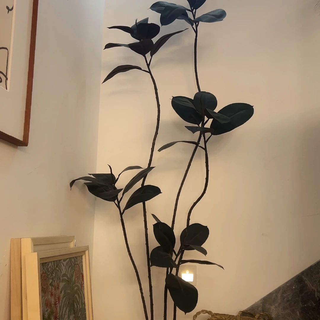 抖音直播间黑金刚1.8米