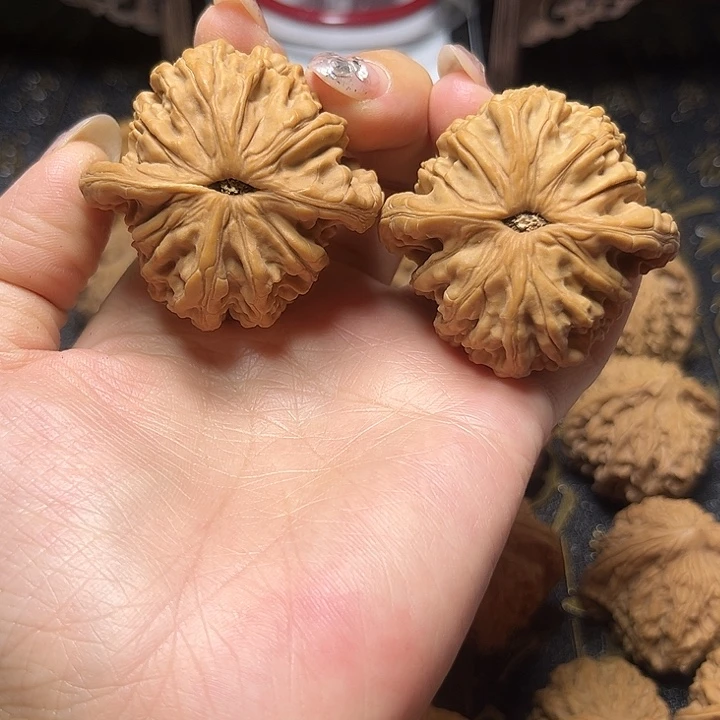 文玩核桃把件45狮虎兽全品