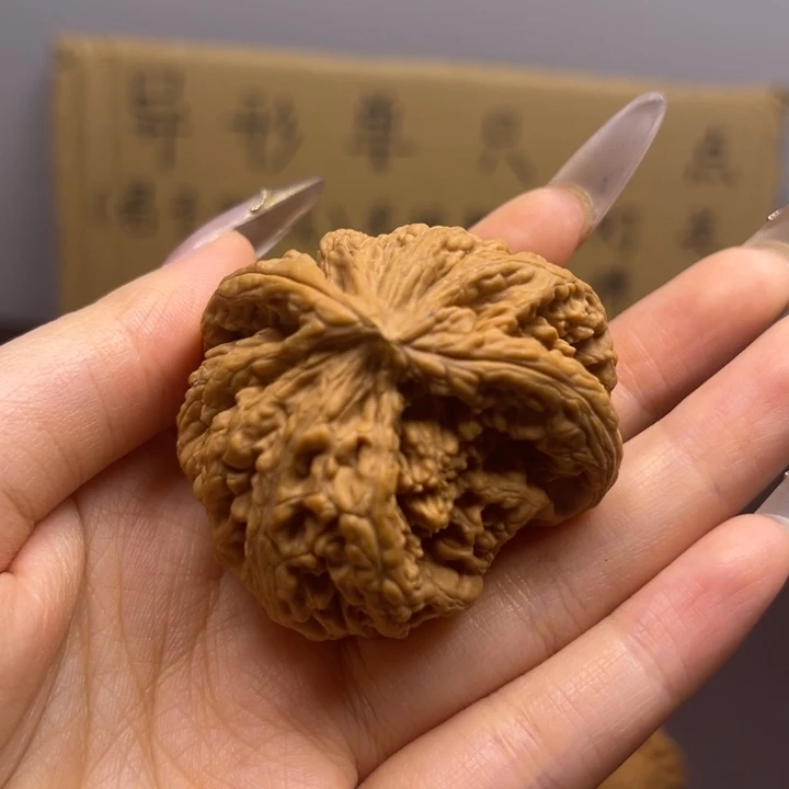 鸿***菩提籽类雕单只异型