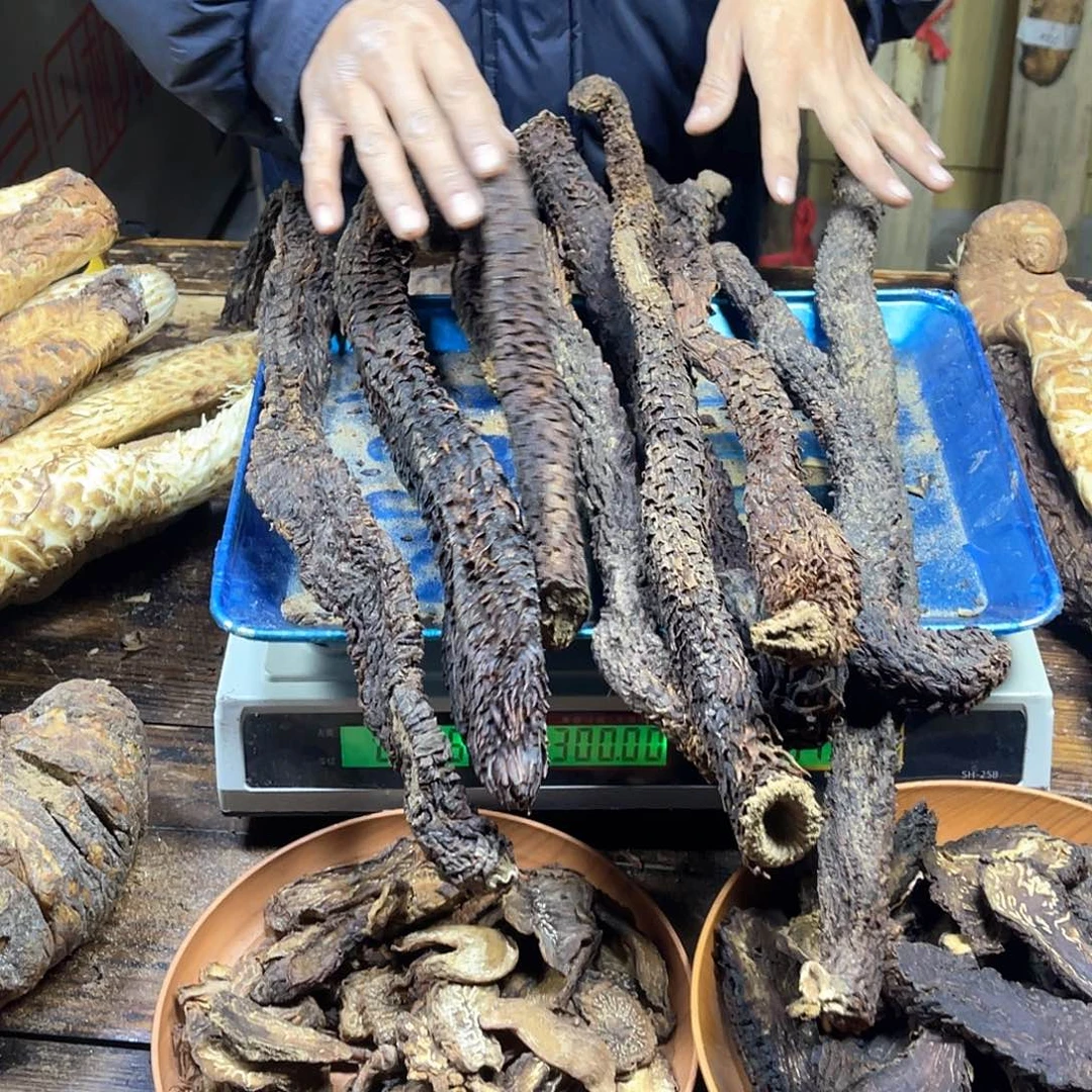 康***中国大陆阿拉善沙漠的特产干货