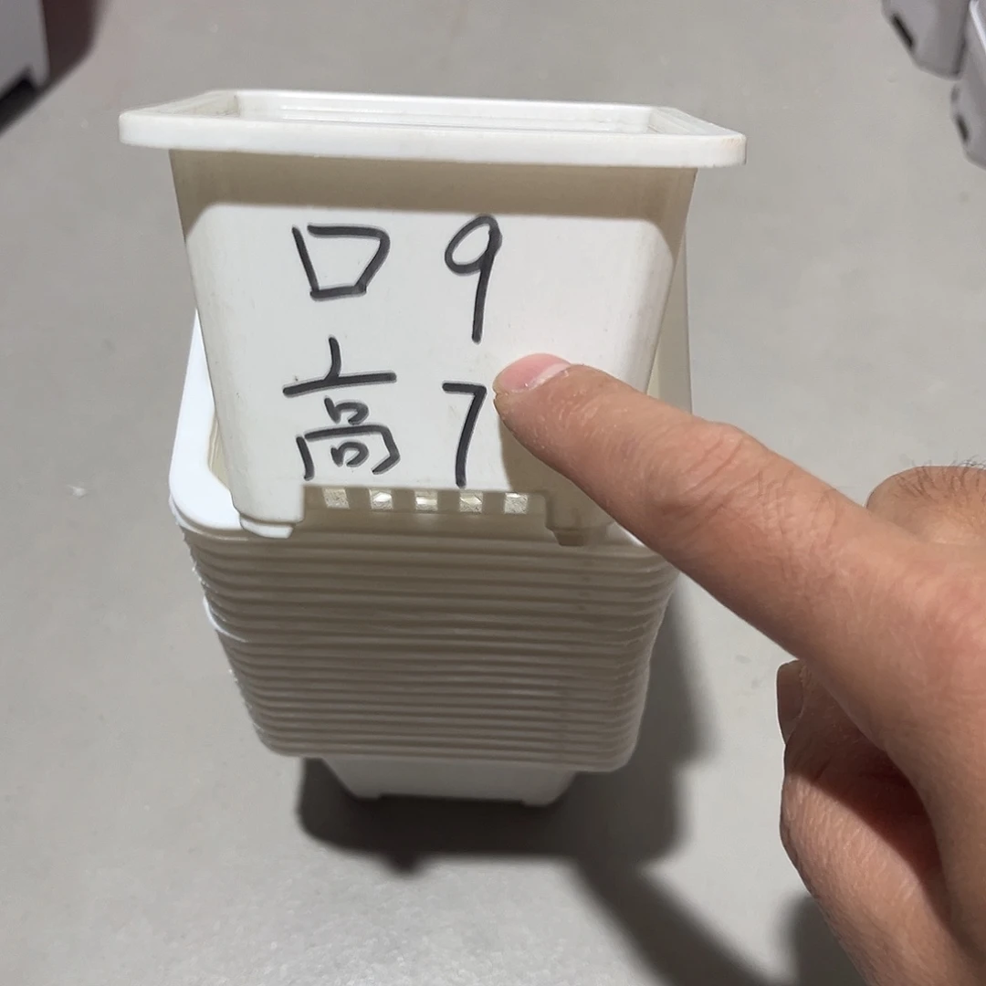 瑕疵口9高7白盆20个无托