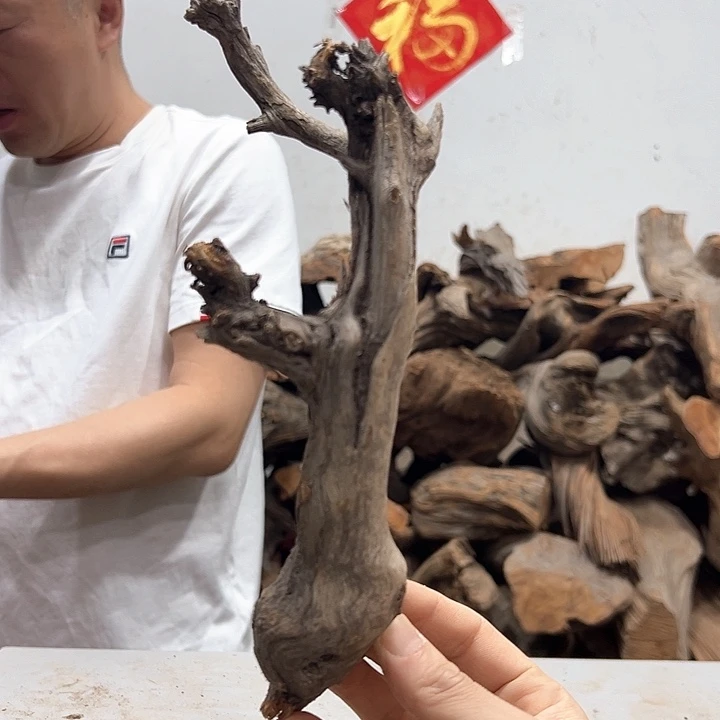柏木林*大我们的生活是以自己为主