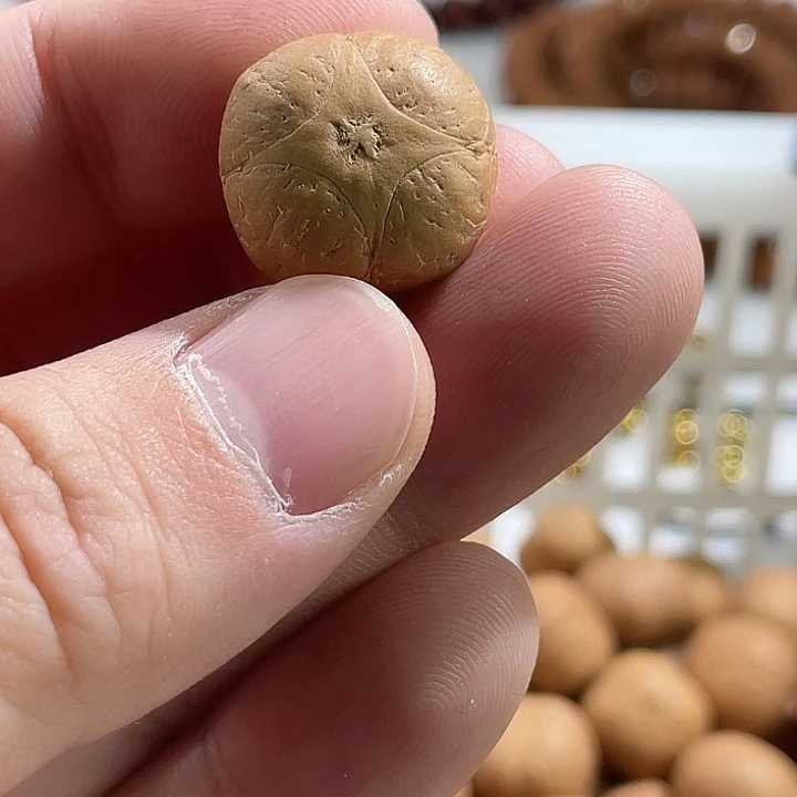 凤眼菩提吊坠尼泊尔小凤眼