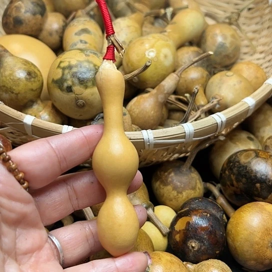 蓝*葫芦葫芦葫芦葫芦葫芦