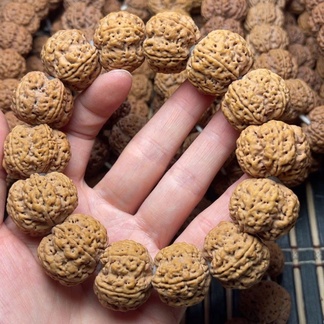 菩提10号金刚菩提满肉梅花24.5/25