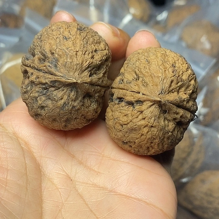 把件文玩核桃云南铁核桃65