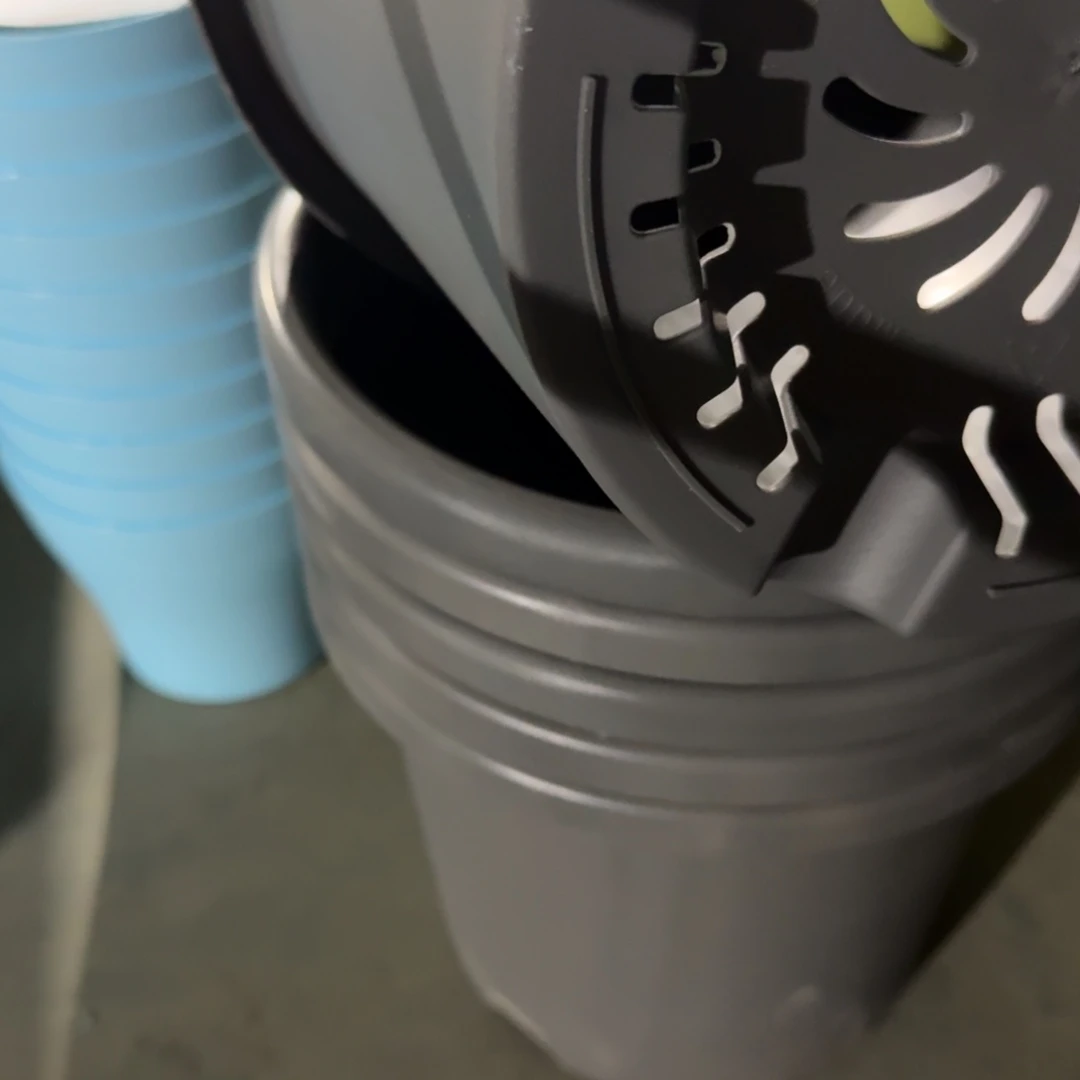 编号是36号的36号的