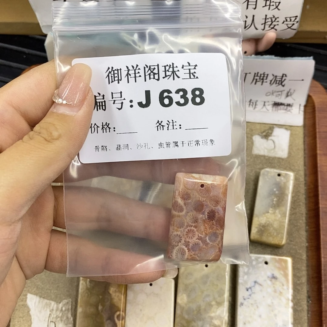 硅化珊瑚（珊瑚玉）未镶嵌颈饰梦****作