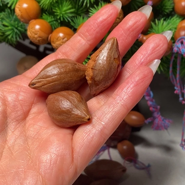 手串/手链橄榄核包衣单子