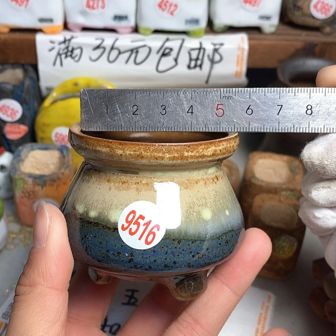 红陶拍5送一个小