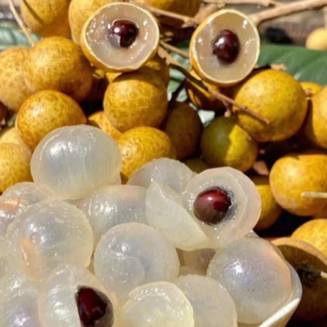 泰国小籽龙眼一斤装
