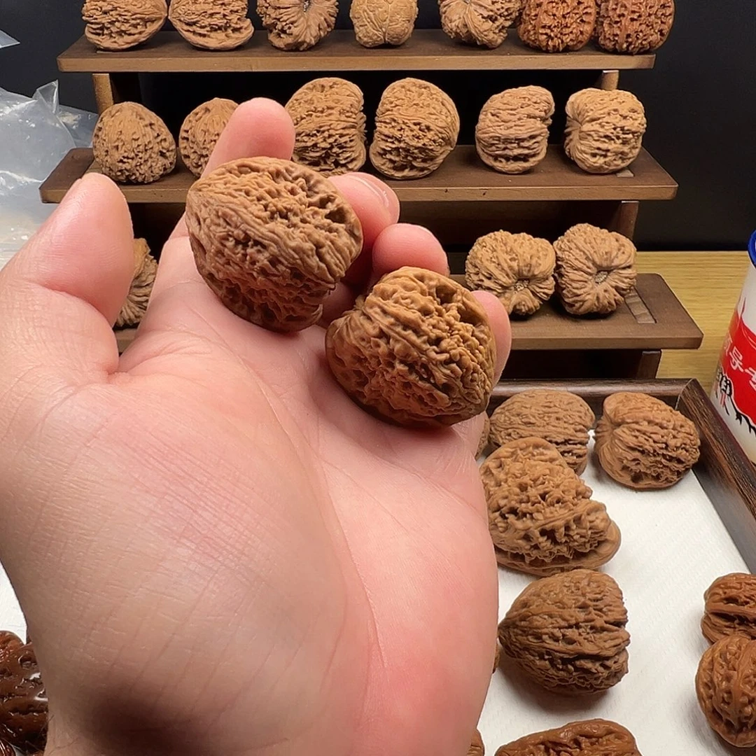 文玩核桃把件陆军佳佳佳佳佳佳佳佳佳佳佳佳佳佳