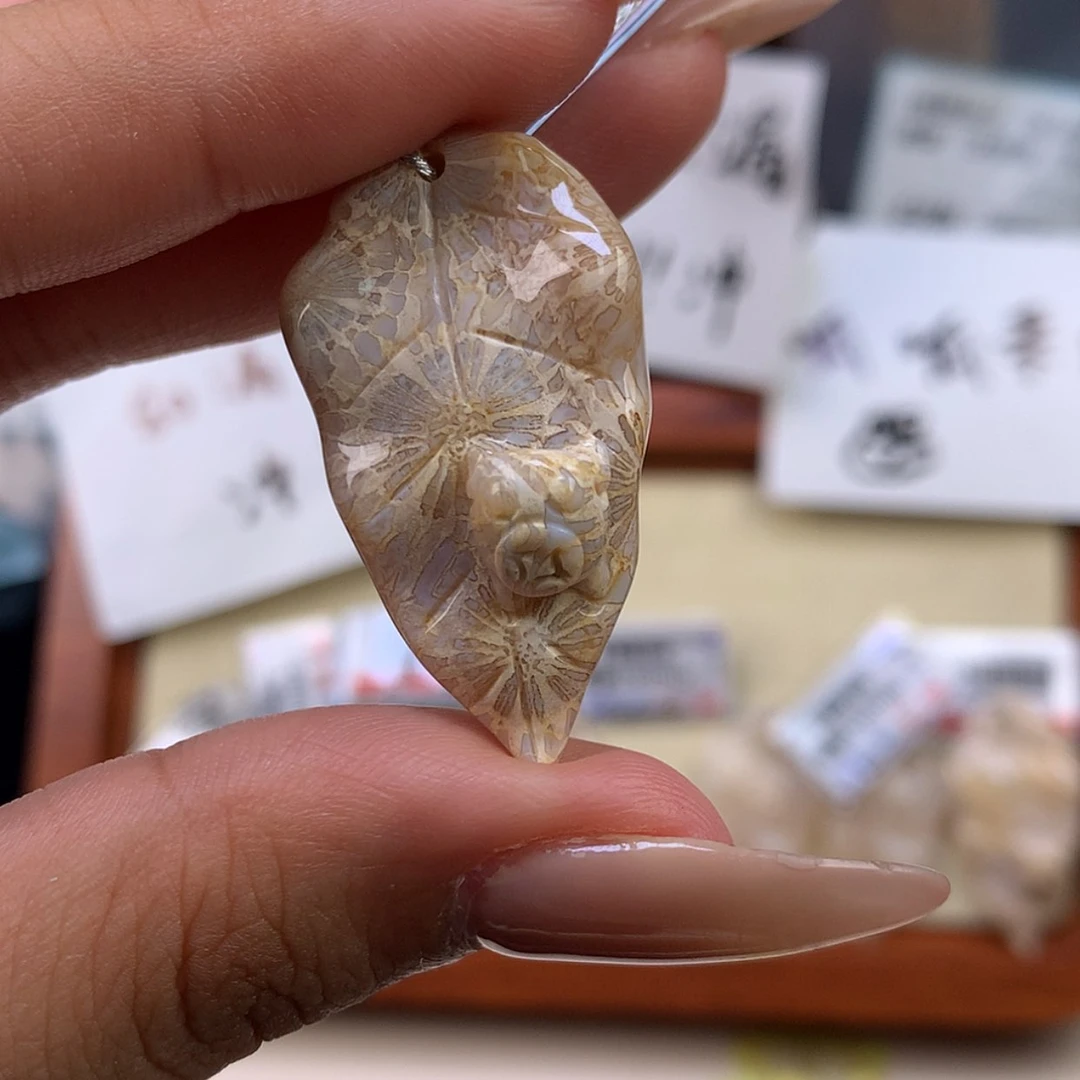 【闪购商品】颈饰未镶嵌硅化珊瑚（珊瑚玉）小**啊