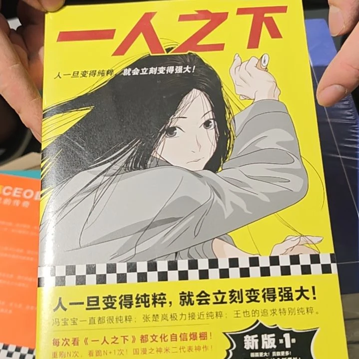 一人之下两本一套