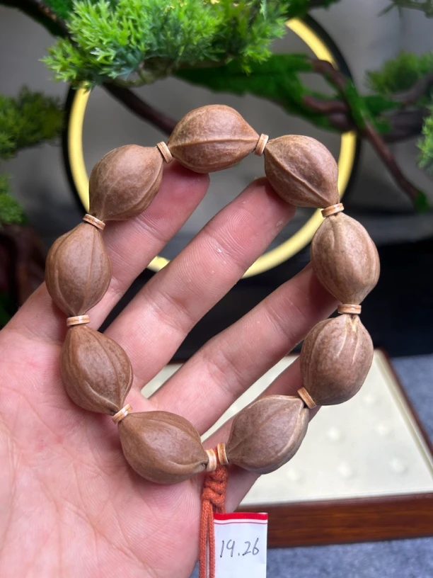 梅林铁核19/24三花鲨鱼背
