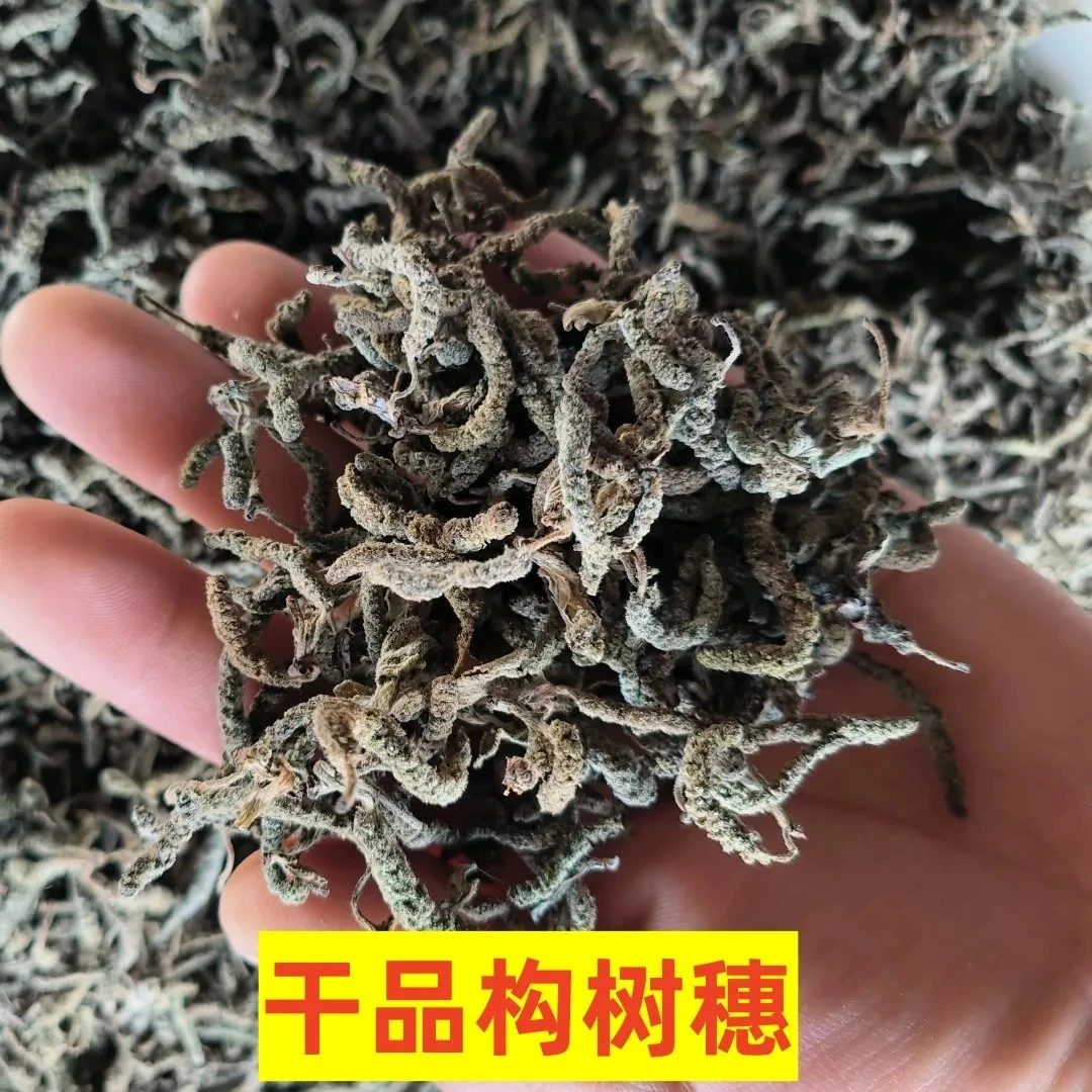 乡甜田金满包邮新鲜晒干野菜构树穗构穗花楚不久1/2/3/4斤