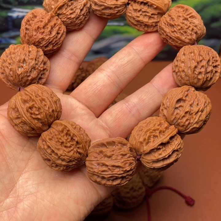 二***蝉大叶紫檀（黑酸枝木类）秦核等人在这里举行了一