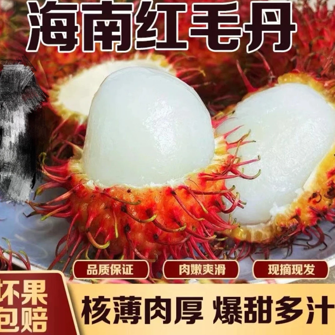 海南保亭红毛丹新鲜现摘现热带水果
