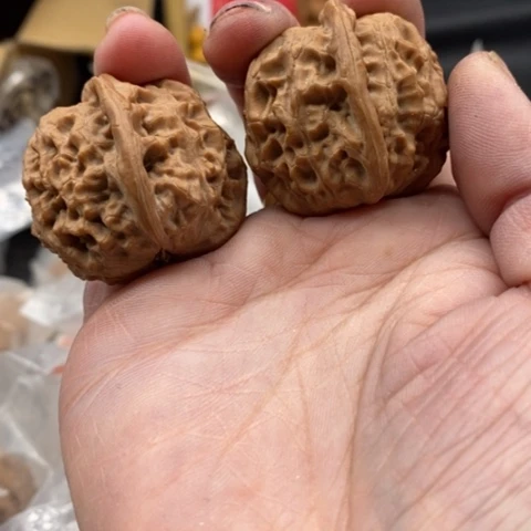 文玩核桃吊坠?****⁶血麒麟