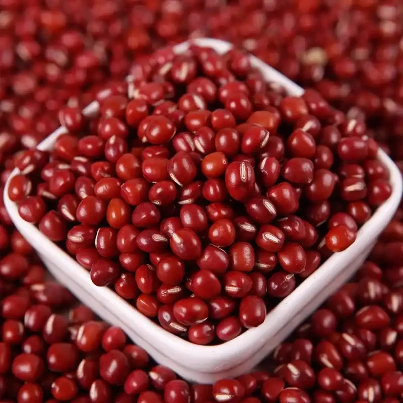 东北红小豆！煮粥做豆沙馅