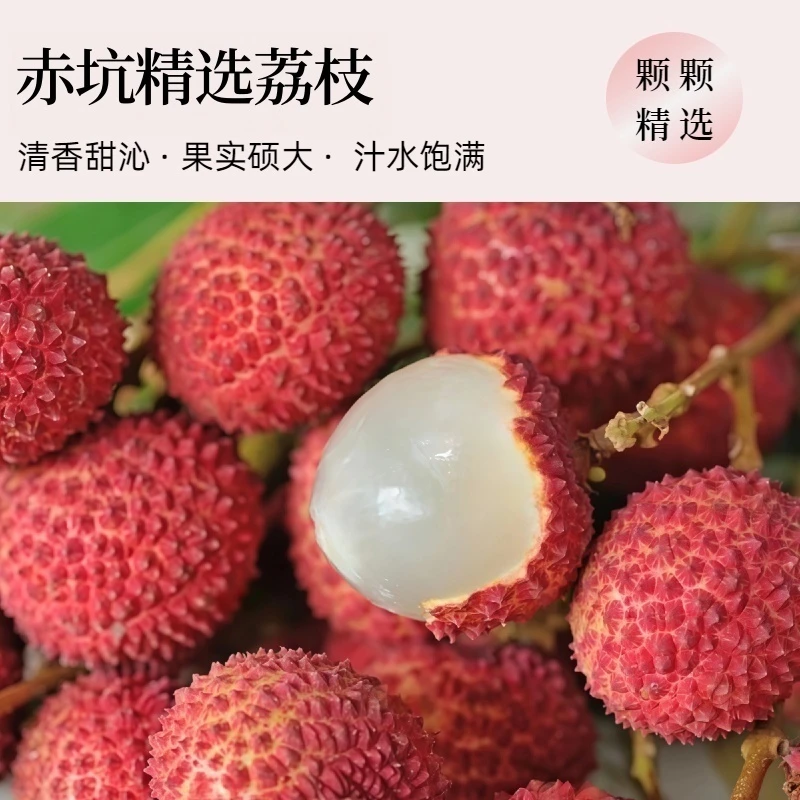 【新疆专拍】广东赤坑桂味荔枝（十斤装）现摘新鲜不泡水京东包邮