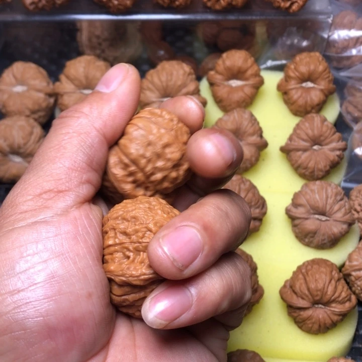 天***置大叶紫檀（黑酸枝木类）