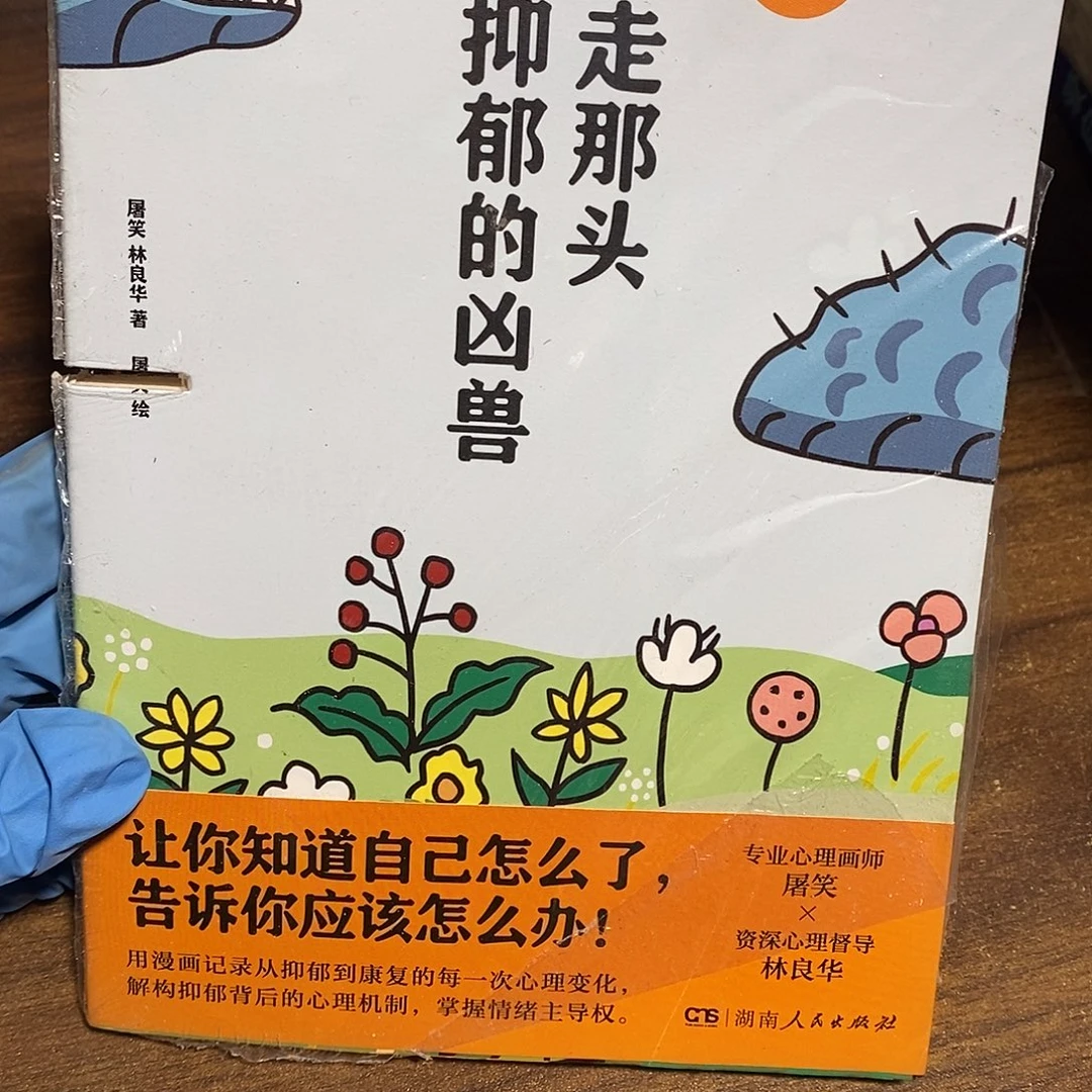 赶走那头叫抑郁的凶兽