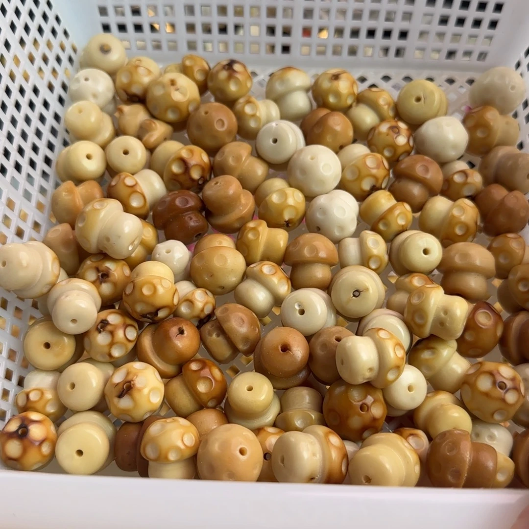 手串菩提根/象牙果瑕疵牙果蘑菇50颗不挑批发