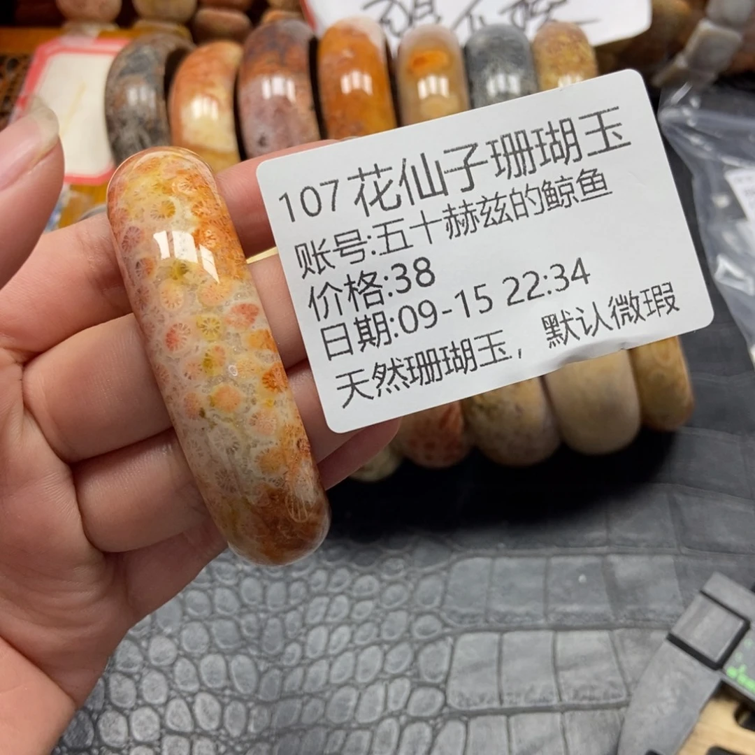 五***鱼未镶嵌硅化珊瑚（珊瑚玉）珠宝半成品107