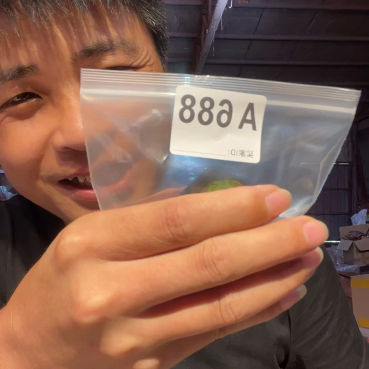 大叶紫檀（黑酸枝木类）柠*树688
