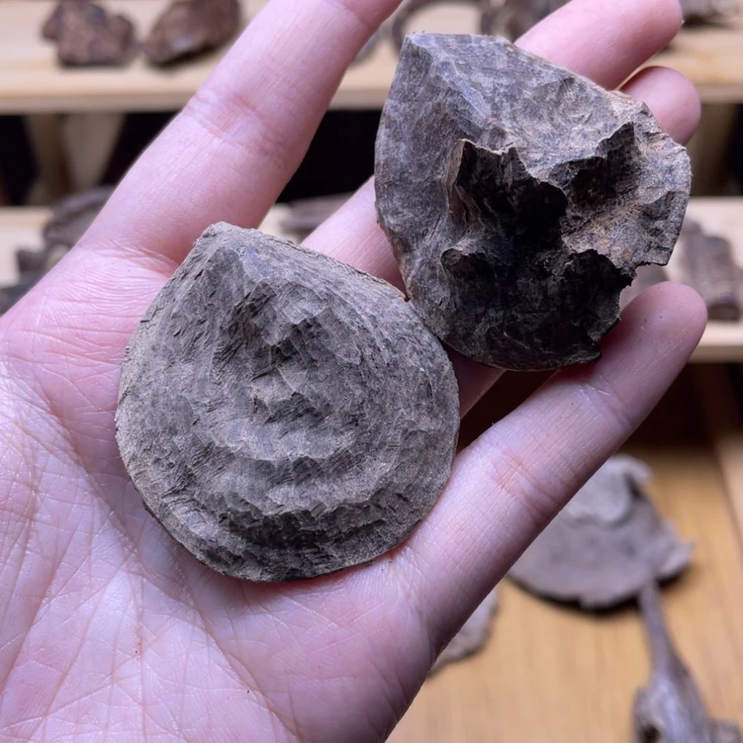 5.9克海南大山老壳子香