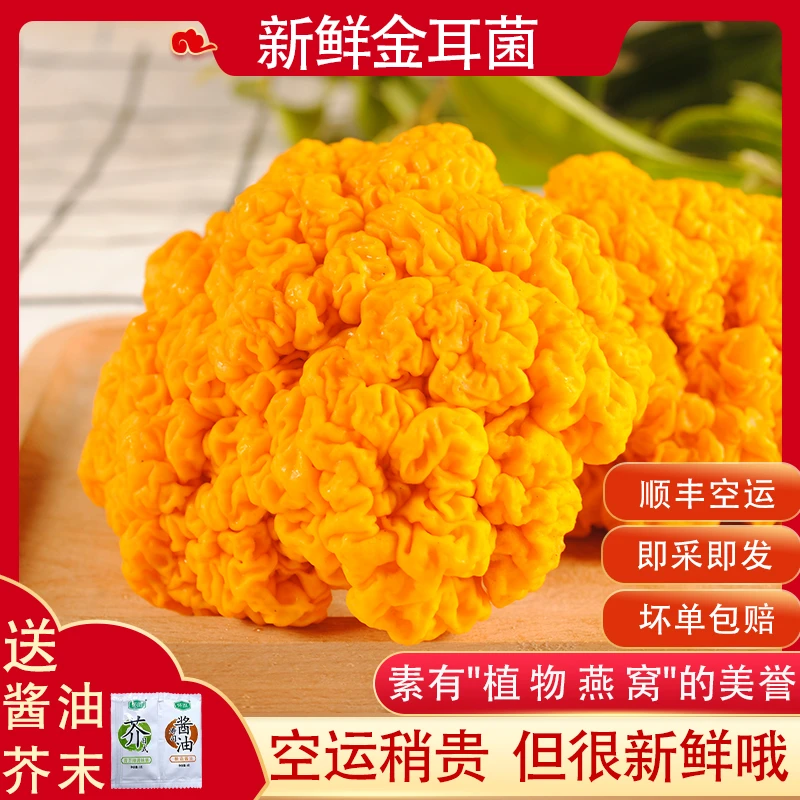 【空运包邮】新鲜金耳菌云南特产山货黄金耳黄木耳银耳羹可刺身