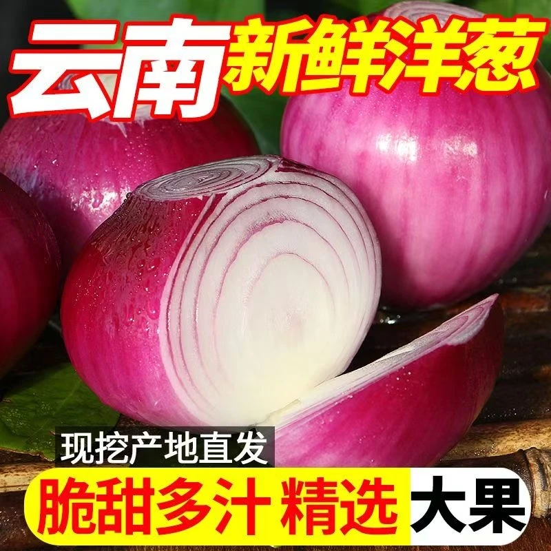 农家现挖水果洋葱5斤脆甜紫皮新鲜蔬菜圆葱头整箱优质大洋葱