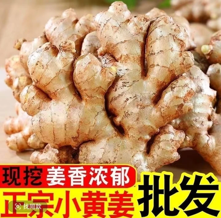 新姜上市云南小黄姜新鲜现挖带土农家自种罗平小黄姜应季产地直发
