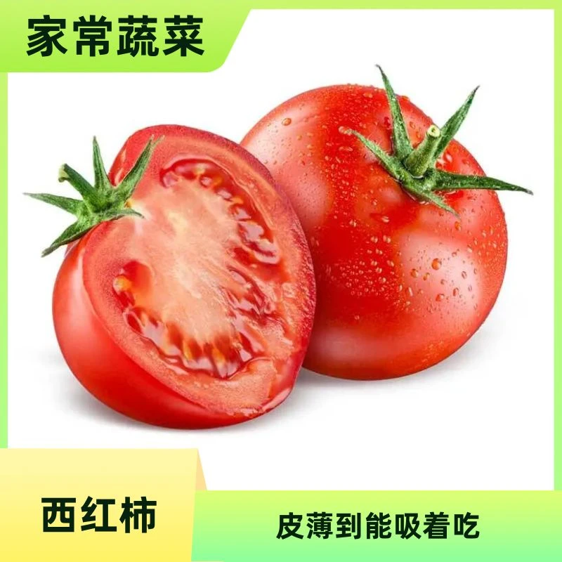 西红柿500g番茄同城送大红西红柿云南省