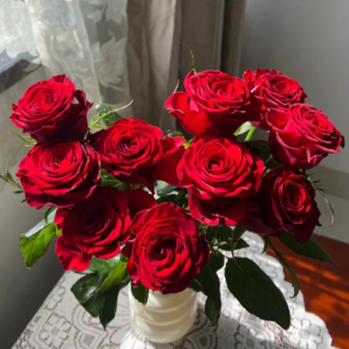 5支红色高原红玫瑰家养鲜花