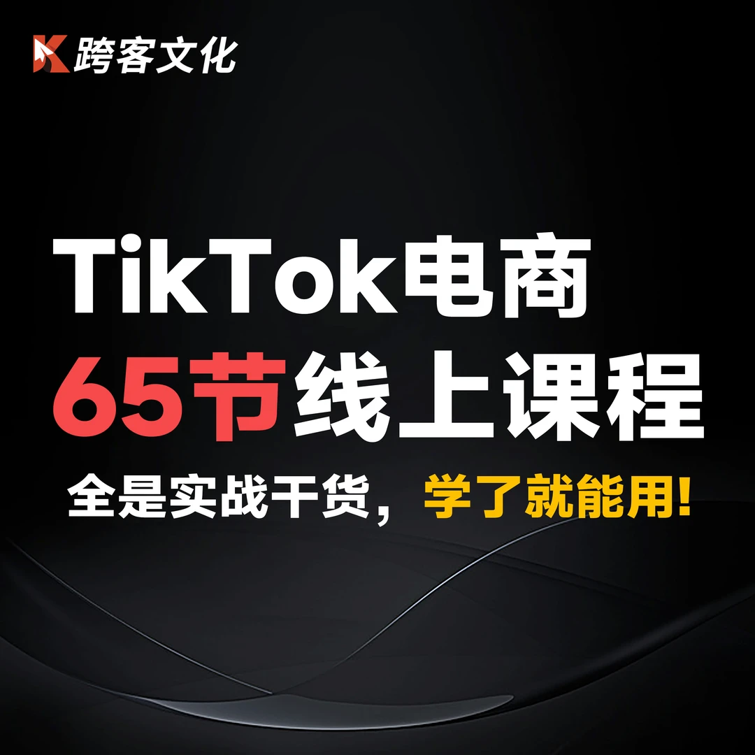 65节TikTok跨境电商新手0-1运营视频课程（看短信开课程）