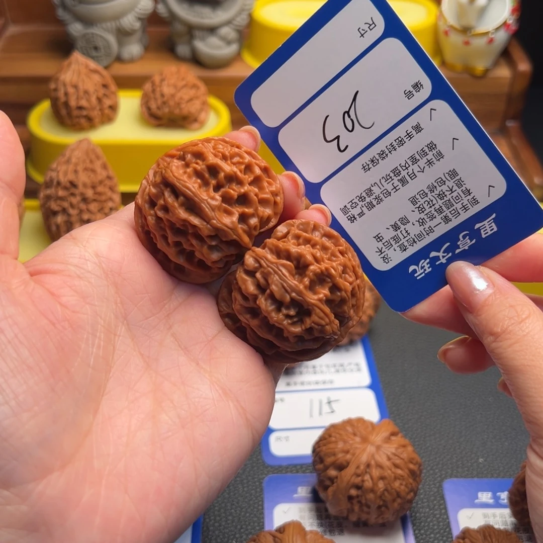 核桃203全品苹果园43尺