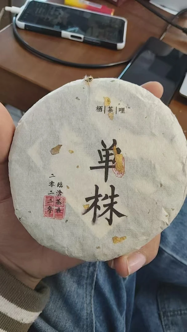 【阿俊福利】2022年邦东单珠古树春料生茶200克，2片
