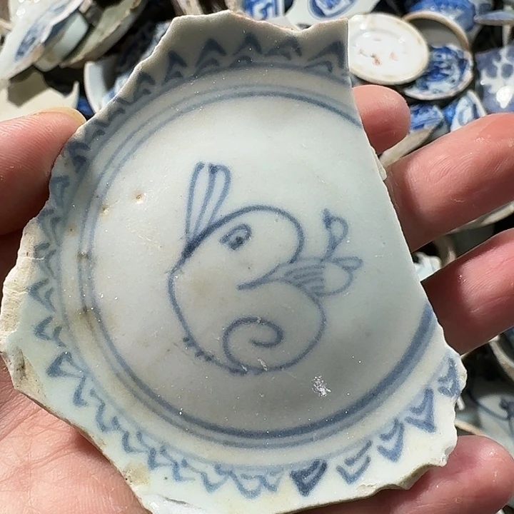 瓷片瓷片标本，顺丰包邮