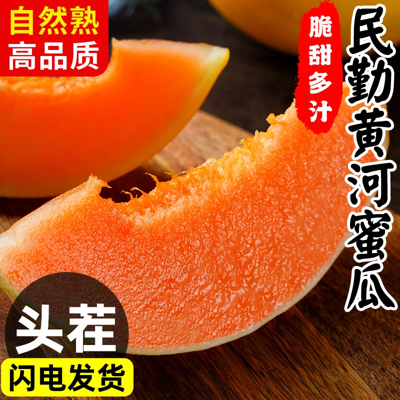 民勤黄河蜜甜瓜甘肃蜜瓜新鲜水果应当季整箱包邮黄金脆香瓜哈密瓜