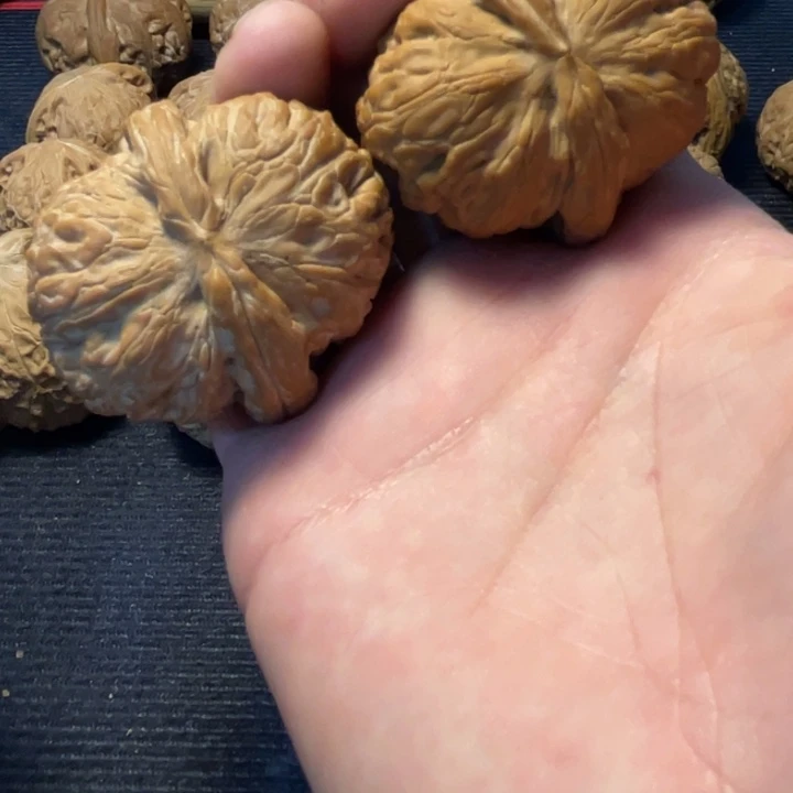 东***起文玩核桃元宝44全品