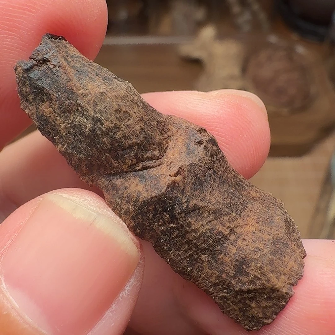 沉香香港99分沉虫漏0.89g