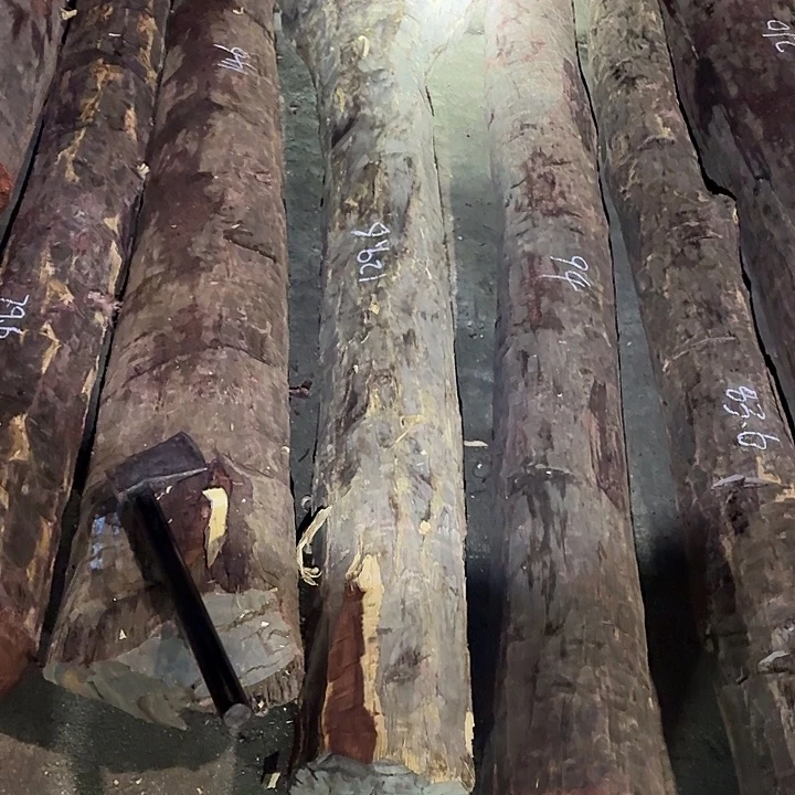 柯****绒质赞比亚血檀6789