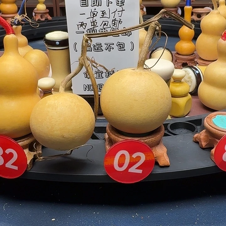 02号花叶连枝葫芦苹果