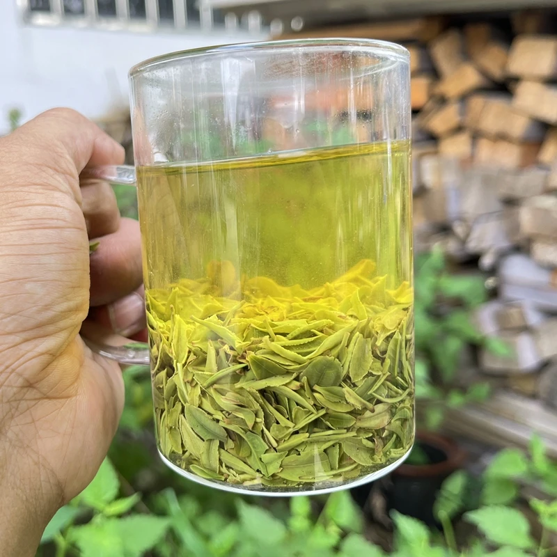 【土门雨前早期片片茶】2025年新茶信阳毛尖茶介意外观的慎拍