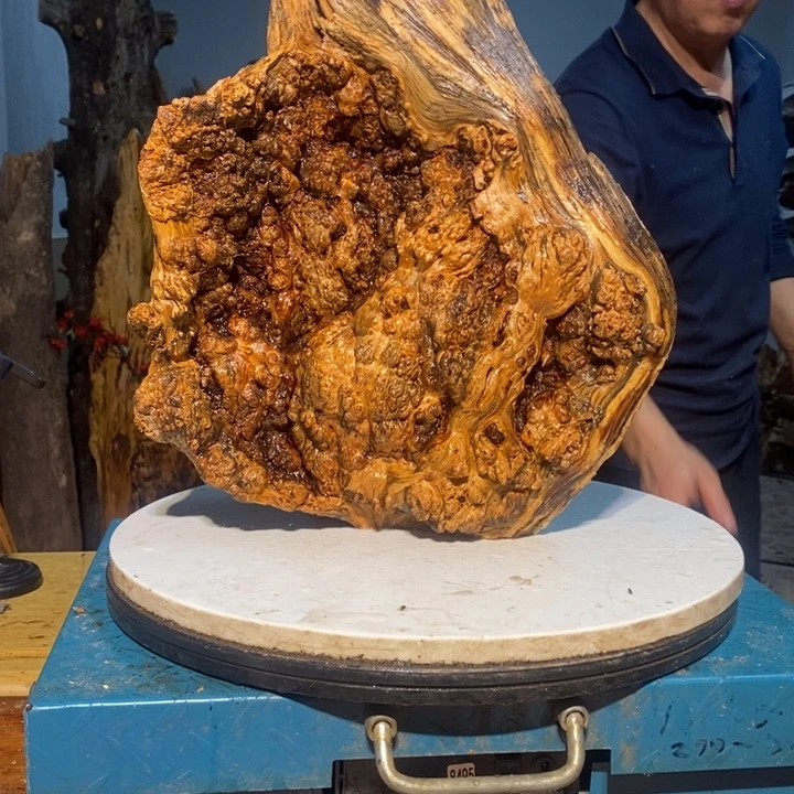 ～****～我们都是你的粉丝125