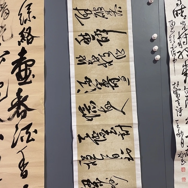 观***6书法中书协老师作品