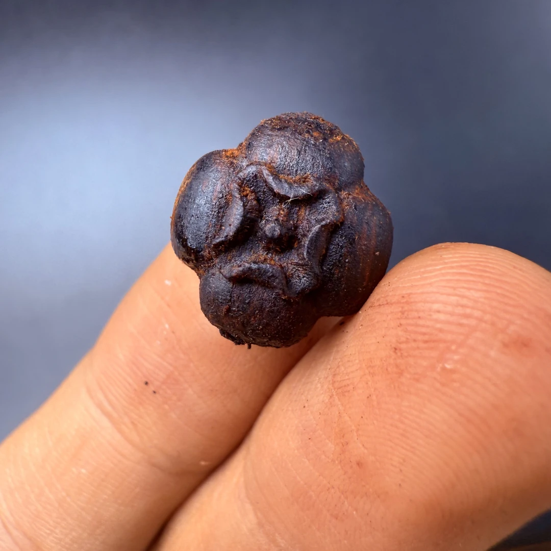 【上新】【雕刻】小叶降真香 柿子 精工雕刻1.4cm
